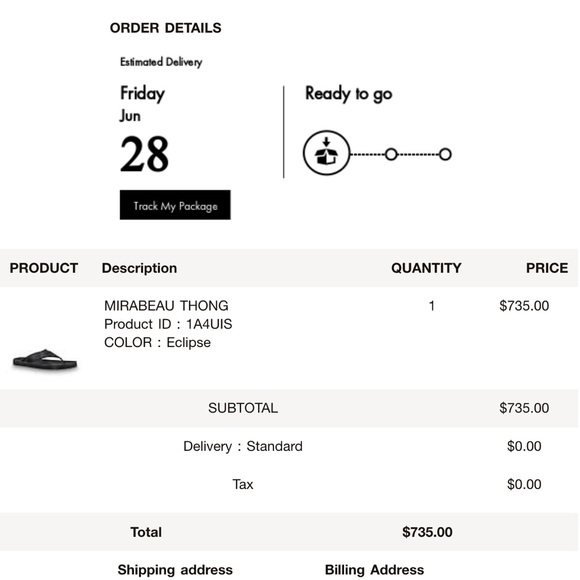 Louis Vuitton MIRABEAU THONG SANDALS - Picture 14 of 14